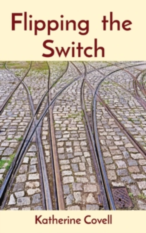 Image of Flipping the Switch Paperback / softback