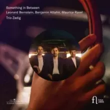 Image of Trio Zadig: Something in Between