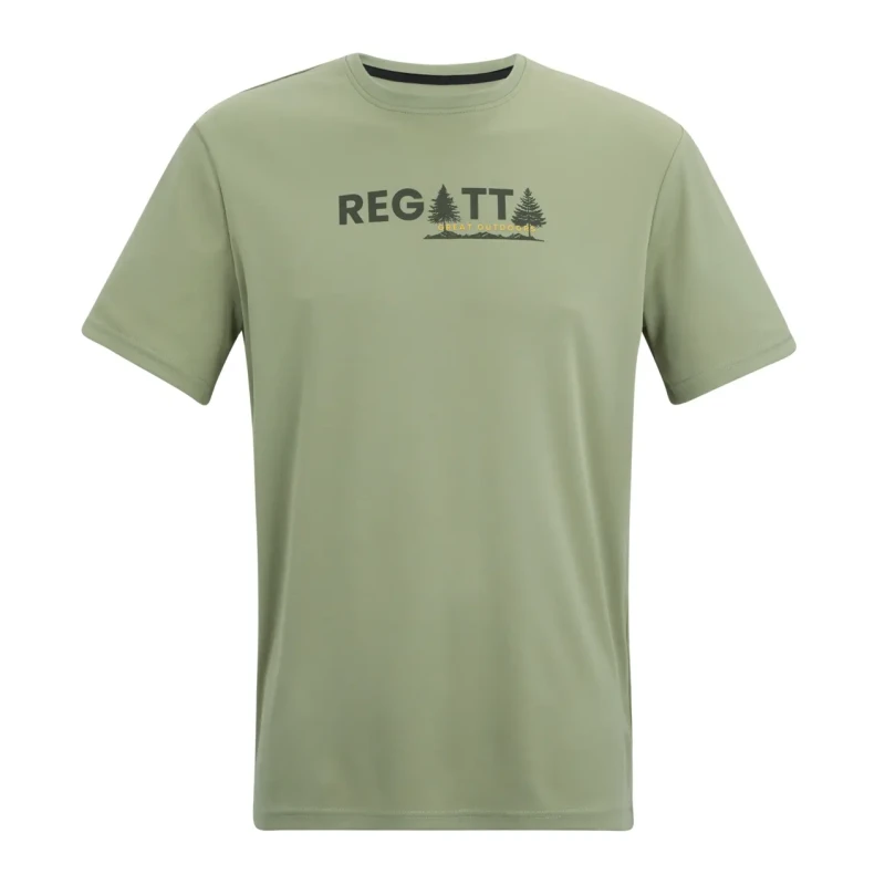Image of T-Shirt Regatta Fingal Vert Male M