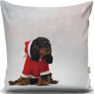 Image of A13055 Multicolor Cushion