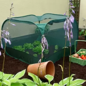 Image of Pop-Up Net Fruit Cage - 1m x 1m x 0.75m High