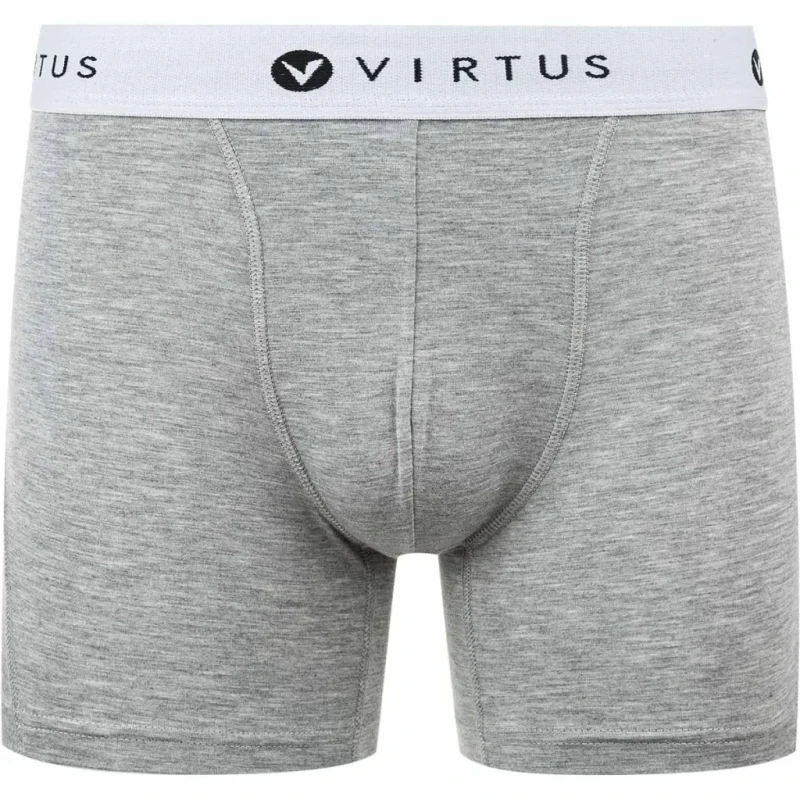 Image of Virtus Boxer shorts Virtus Tuch Gris Male L EV203428-1005