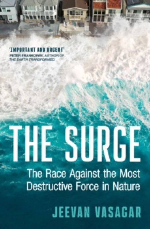 Image of The Surge. Hardback. By Jeevan Vasagar Books