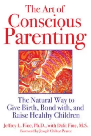 Image of The art of conscious parenting by Jeffrey L Fine