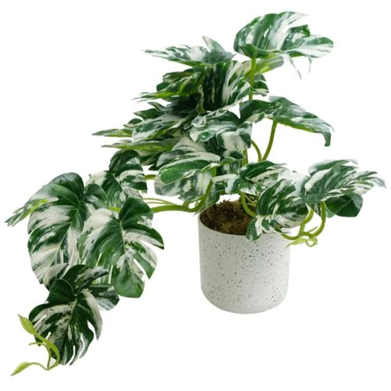 Image of Leaf 30cm Artificial Variegated Green Potted Monstera Trailing Plant