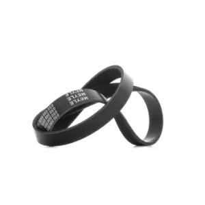 Image of MEYLE V-ribbed belt VW,AUDI,FIAT 050 006 0950 03G903137A,128051,1633568980 500346828,504019978,504171190,31110P5K003,504019978,119204F105,128050
