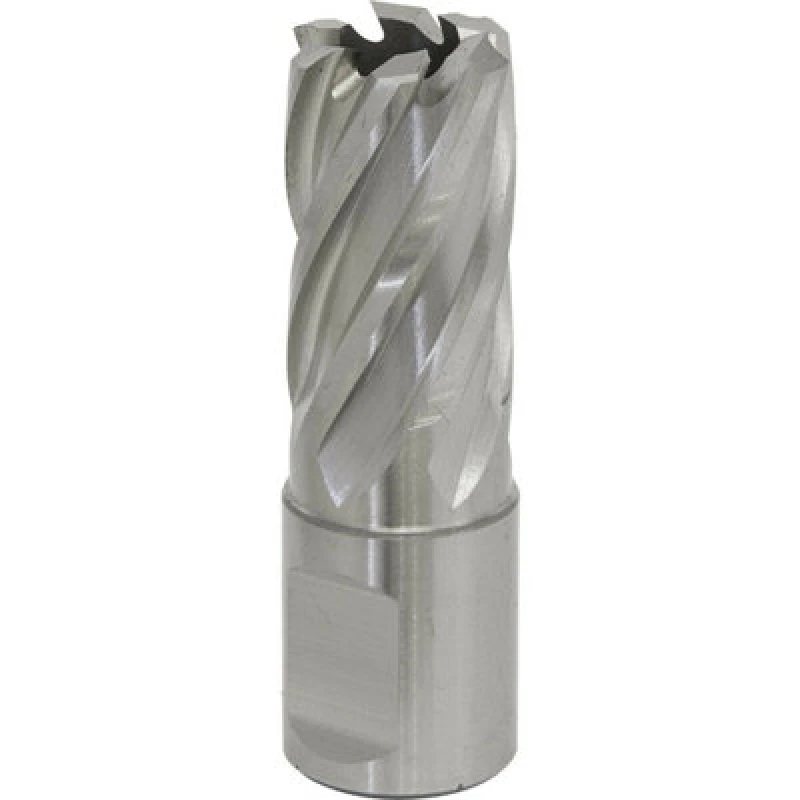 Image of Loops 18mm x 25mm Depth Rotabor Cutter - M2 Steel Annular Metal Core Drill 19mm Shank Metallics