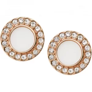 Image of Classics Earrings