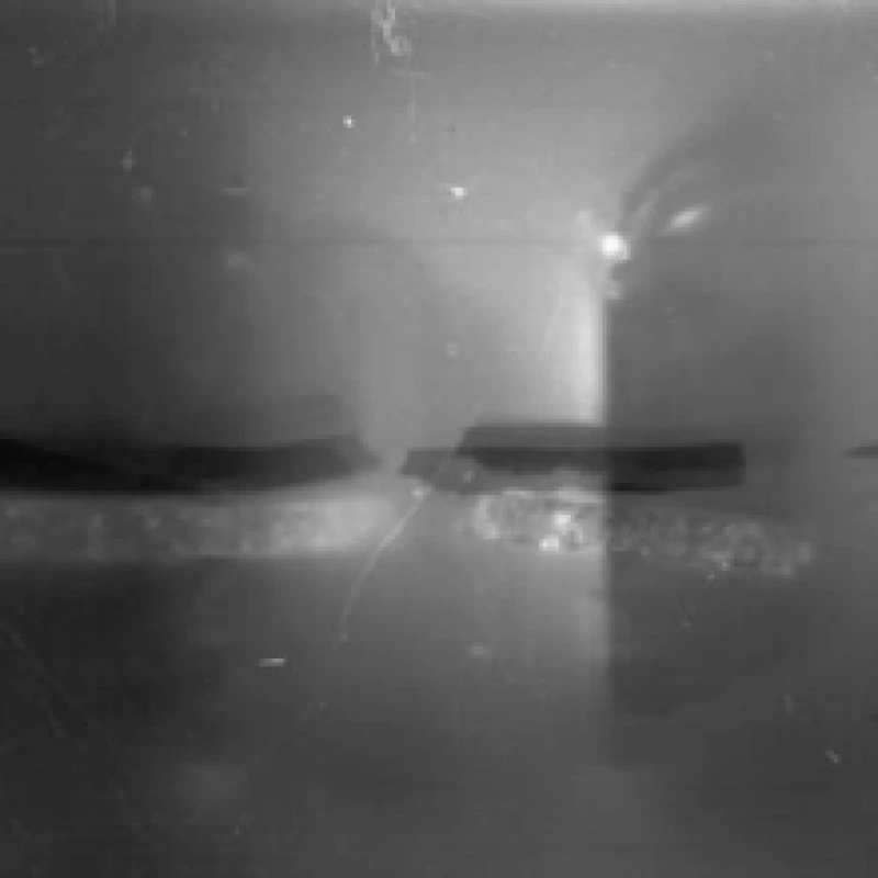 Image of Hundred Tongues Vinyl