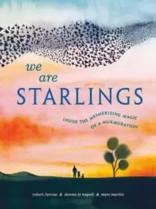 Image of We Are Starlings