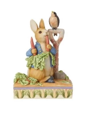 Image of Peter Rabbit In The Garden Figurine