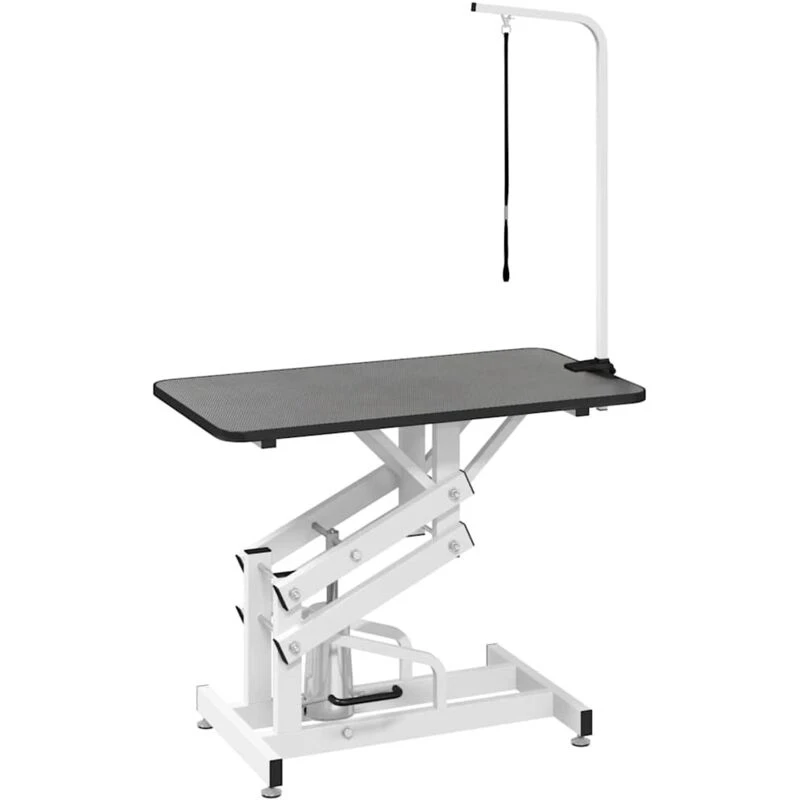 Image of Hydraulic Bath Grooming Table for Dogs Cats Pets Adjustable Arm Loop Quality