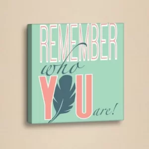 Image of SLO051 Salmon Green Decorative Canvas Painting