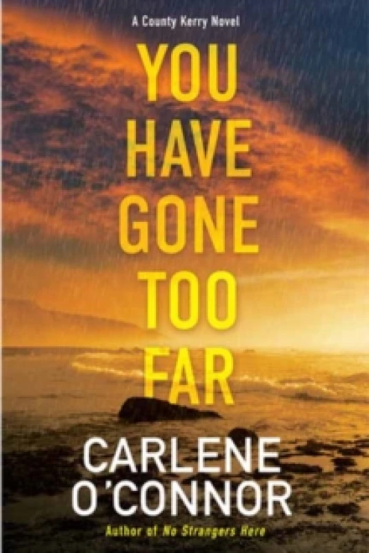 Image of You Have Gone Too Far Paperback / softback