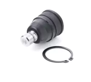 Image of RIDEX Ball joint MAZDA,FORD USA 2462S0314 2L8Z3078AA,2L8Z3079AA,EC0134300J EC0134350J,2L8Z3079AA,2L8Z3078AA,2L8Z3079AA,B25D99350D,BK3P34300D