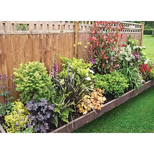 Image of Garden On A Roll Mixed Shady Border Pack 10m x 60cm Plants