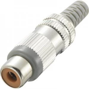 Image of RCA connector Socket straight Number of pins 2 Blue Conrad Components