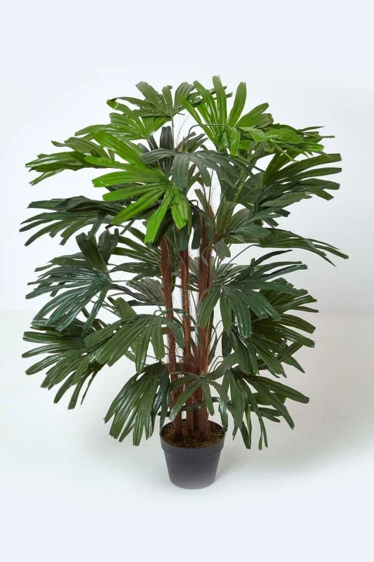Image of Homescapes Artificial Rhapis Excelsa Palm Tree, 120cm Tall in Green Green Unisex