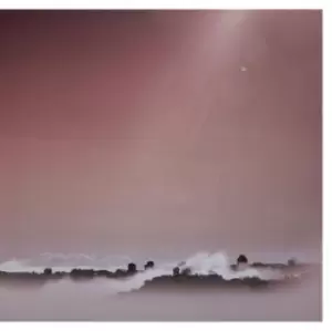 Image of Craters by Dead Neanderthals CD Album