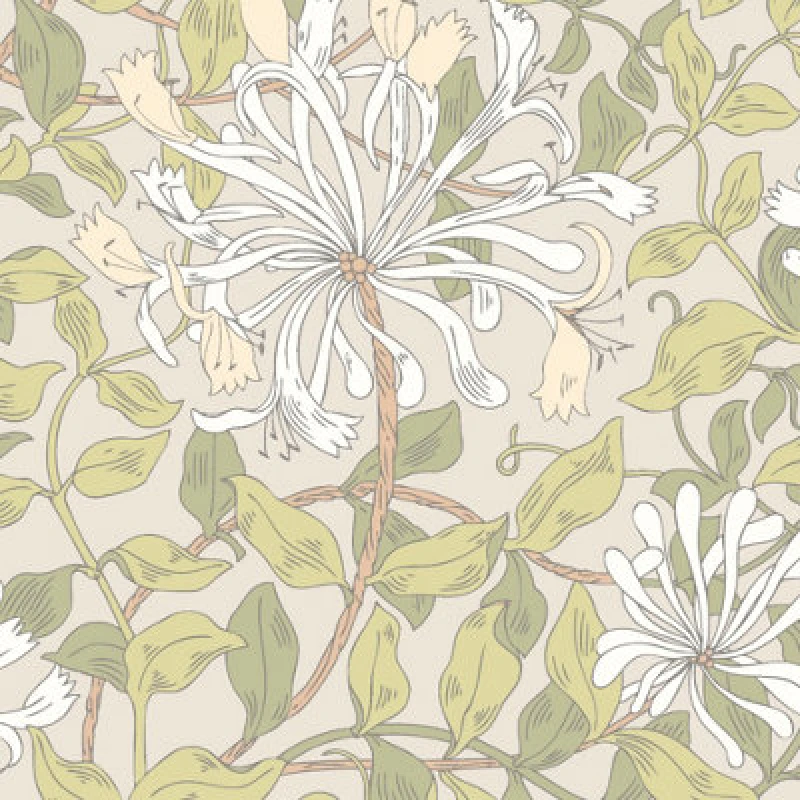 Image of Hoopla Walls Honeysuckle Leaf Trail Stone Natural Smooth Matt Wallpaper