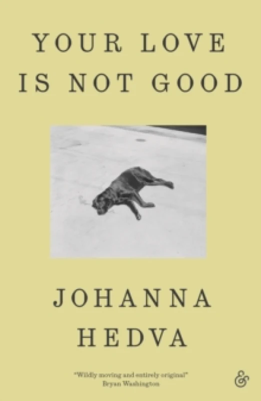 Image of Your Love Is Not Good paperback Paperback / softback