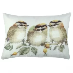 Image of A50831 Multicolor Cushion