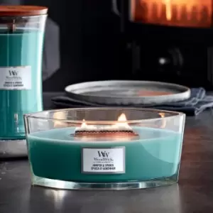 Image of Juniper and Spruce