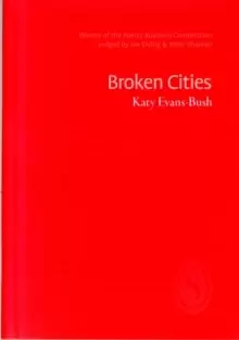 Image of Broken Cities