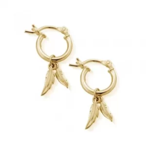 Image of ChloBo Gold Plated Double Feather Hoop Earrings GEH1096