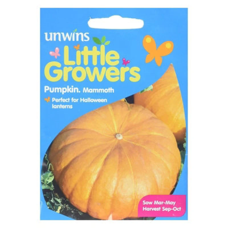 Image of Unwins Little Growers Pumpkin Mammoth
