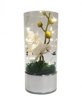 Image of Glass Tube With Artificial Flower And LED Lights