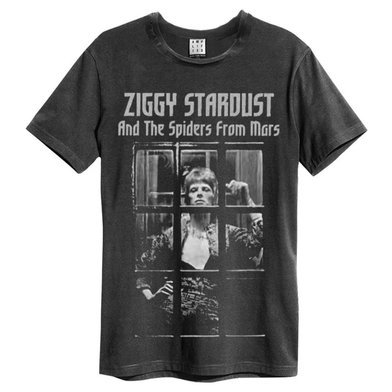 Image of Amplified Amplified Men The Rise and Fall David Bowie T-Shirt in Charcoal Size: Small Charcoal S Male 5063470007660