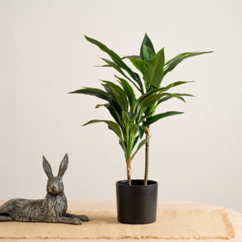 Image of Scottish Everlastings Ltd. Scottish Everlastings Artificial 60Cm Real Touch Dracaena