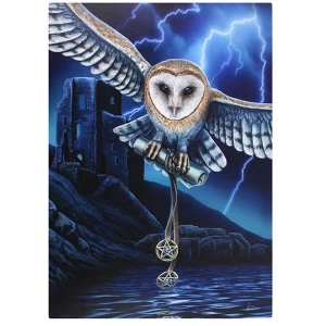 Image of Large The Heart of the Storm Canvas Picture by Lisa Parker