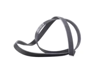 Image of CONTITECH V-ribbed belt 6PK1613 Serpentine belt,Auxiliary belt VW,AUDI,OPEL,Golf V Schragheck (1K1),Passat Variant (3C5),Passat Variant (365)