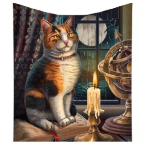 Image of Lisa Parker Adventure Awaits Calico Cat Ship Throw Blanket