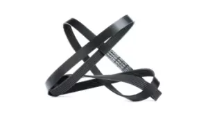 Image of DAYCO V-ribbed belt 6PK2100 Serpentine belt,Auxiliary belt MERCEDES-BENZ,FORD,MAZDA,190 (W201),C-Klasse Limousine (W202),Stufenheck (W124)