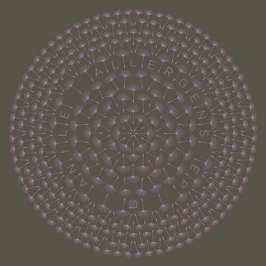 Image of Anile - Allergens EP Vinyl