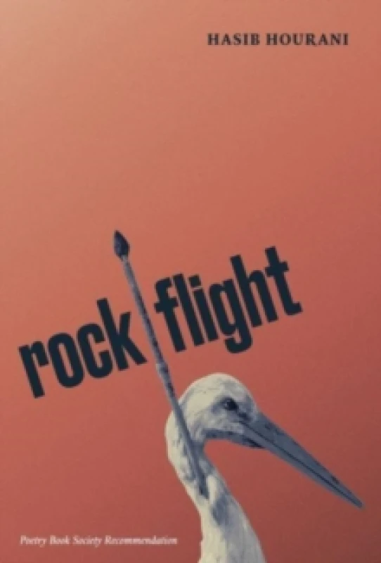 Image of rock flight Paperback / softback