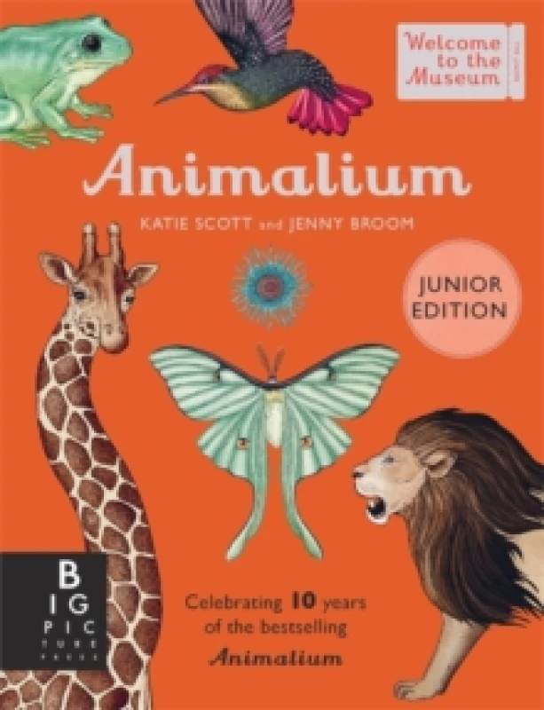 Image of Animalium (Junior Edition) Hardback