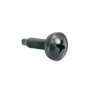 Image of Middle Atlantic Products HW100 rack accessory Rack screws