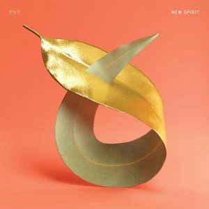 Image of Pvt - New Spirit Vinyl