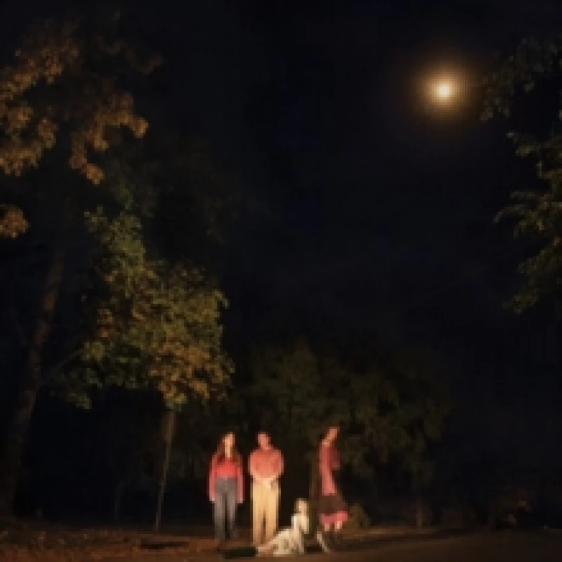 Image of The Ophelias Spring Grove (Vinyl) 12 Album Coloured Vinyl (Limited Edition)