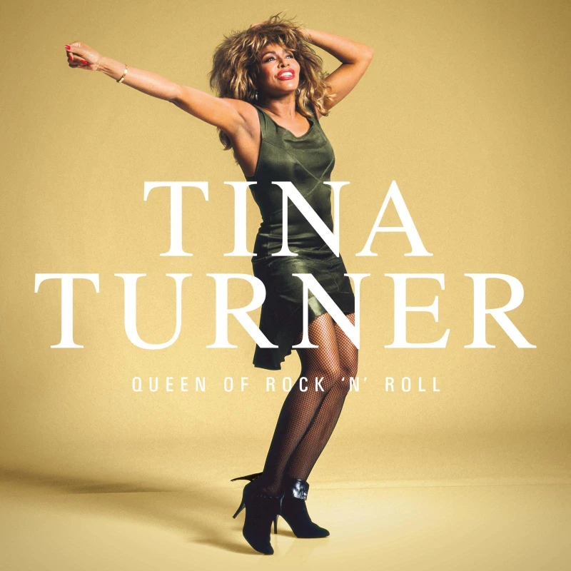 Image of Tina Turner Queen Of Rock 'N' Roll [Crystal Clear Vinyl] LP Black unisex