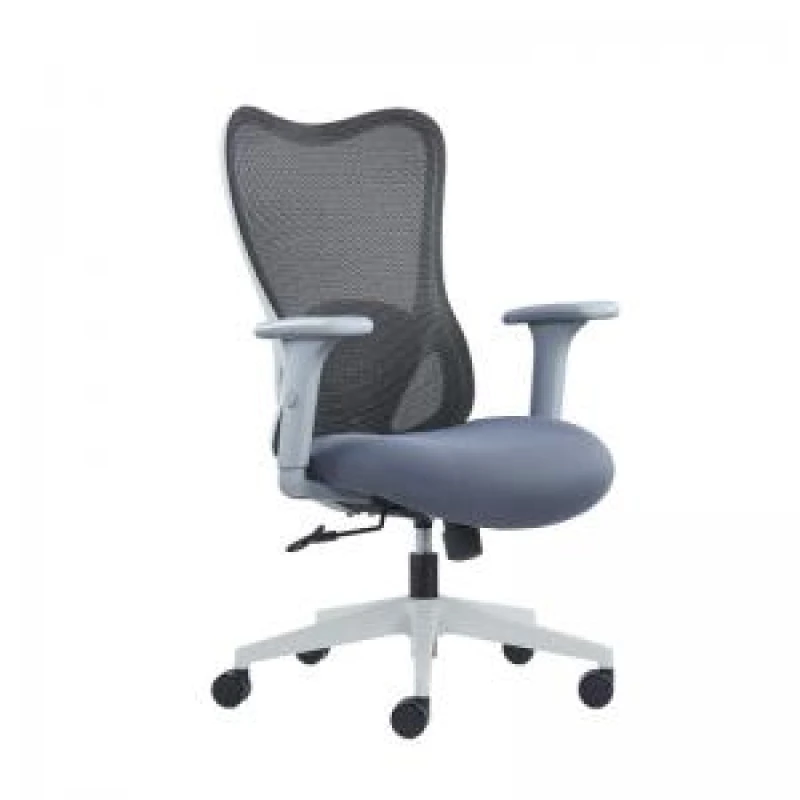 Image of High Back Mesh Chair with Adjustable Lumbar Support, Arms & NTDSBCMJ375GY