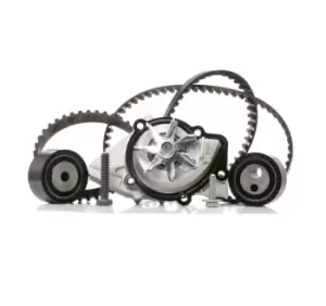 Image of INA Water Pump + Timing Belt Kit FIAT,PEUGEOT,CITROEN 530 0111 30 081696,0816A9,082960 082961,082962,082963,083028,083029,083030,083031,1201C4,081696