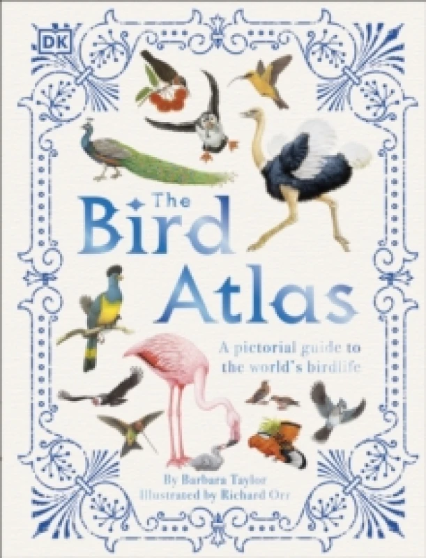 Image of Barbara Taylor The Bird Atlas Book Multi unisex