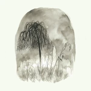 Image of Woodpigeon - Trouble Orange Vinyl