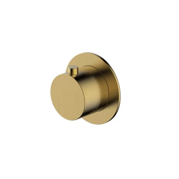 Image of RAK Petit Round Concealed Diverter Single - Brushed Gold