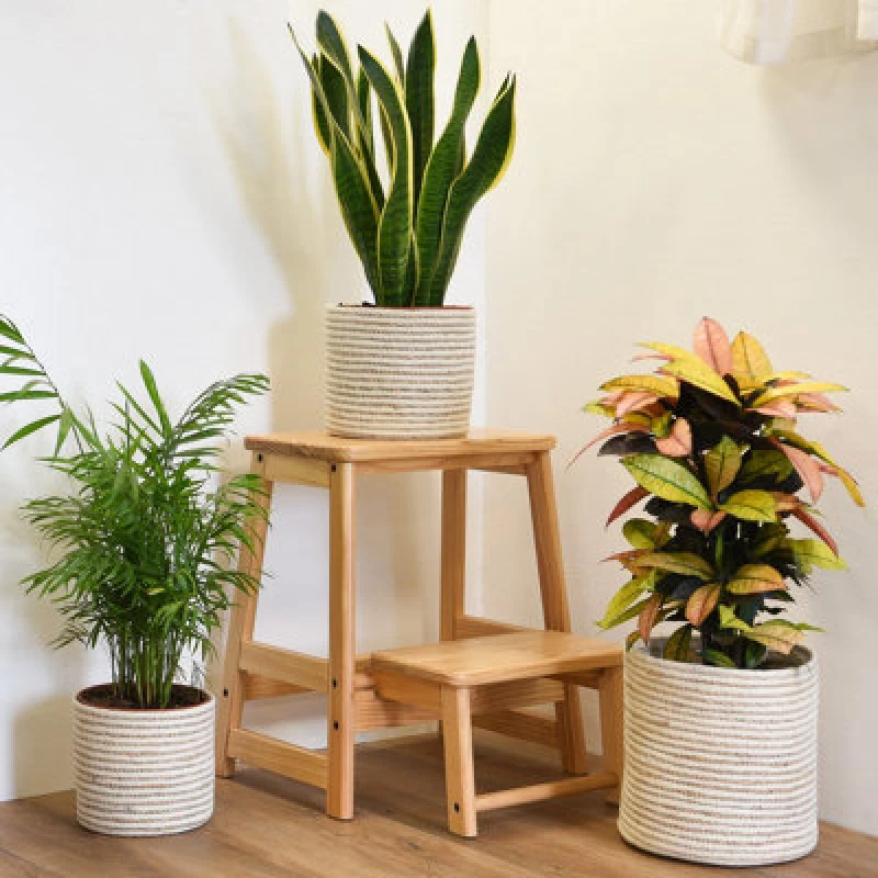 Image of THOMPSON & MORGAN Thompson&morgan - Indoor Planter Basket Natural Navy Seagrass Set of Three 25cm, 20cm & 17cm Diameter KF7056